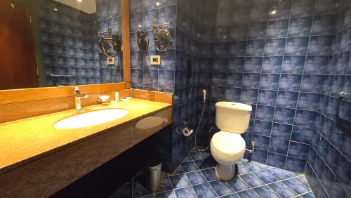 deluxe-room-back-view-image8