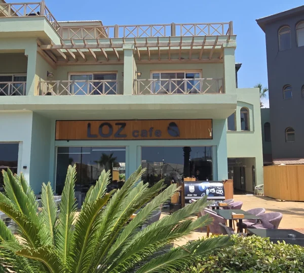 Loz-View-Image